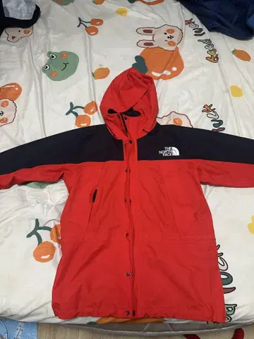 THE NORTH FACE Mountain Light Jacket