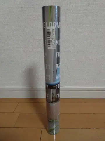 MELOGAPPA SARA 투어 포스터 모리 씨