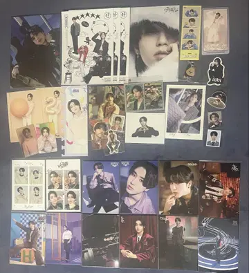 straykids 한 렌티큘러 트레이딩 카드 굿즈 묶음 판매