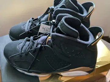 새상품급 AIR JORDAN 6 레트로 DMP