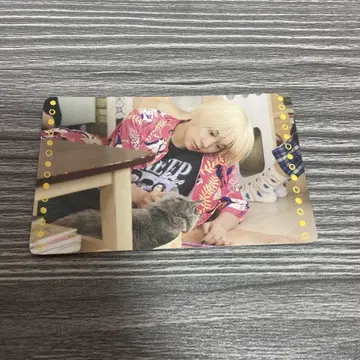 베이비 왈큐레 에브리데이! 트레이딩 카드