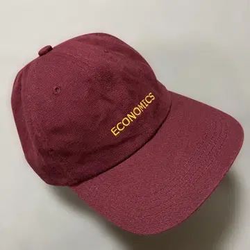 Gymphlex 6 PANEL ECONOMICS CAP 일본제