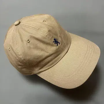 Gymphlex 6 PANEL LOGO CAP 일본제