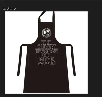 B'z 이나바 코시 이나사라 CHUBBY GROOVE TOUR 에이프런