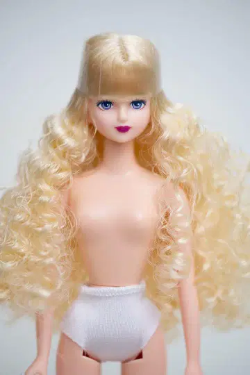 리카짱 캐슬 오타노시미 인형 시온