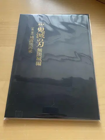 극장판 귀멸의 칼날 무한성 편 제1장 아카자 재래 최초 한정 팜플렛