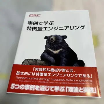 사례로 배우는 특징량 엔지니어링 O'Reilly