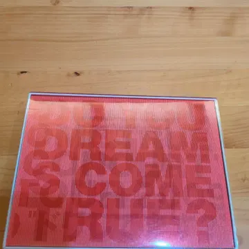 DREAMS COME TRUE 2009 DVD