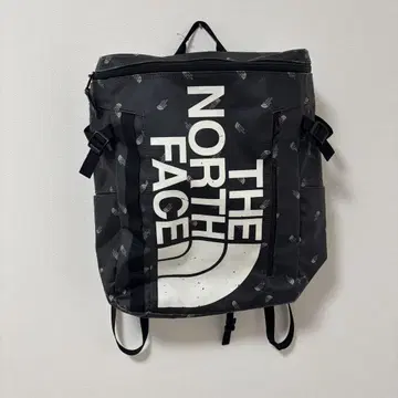 THE NORTH FACE BC 퓨즈박스 30L 토스 로고 프린트