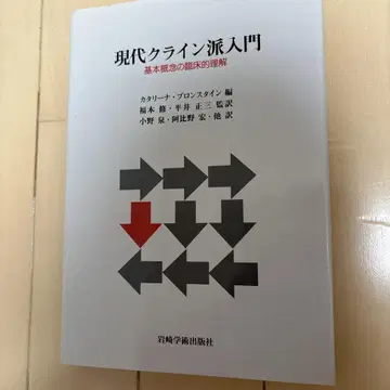 현대 클라인 학파 입문 : 기본 개념의 임상적 이해