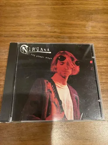 NIRVANA - Put the money down 레어