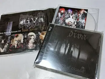 diva 한정판 CD 2장 세트