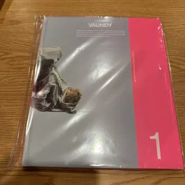 미개봉 새상품 Vaundy VAWS Premium photobook