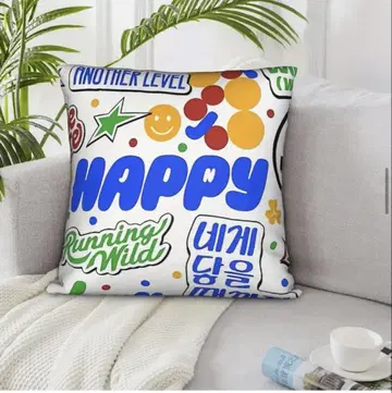 BTS JIN HAPPY 진 해피 쿠션 커버