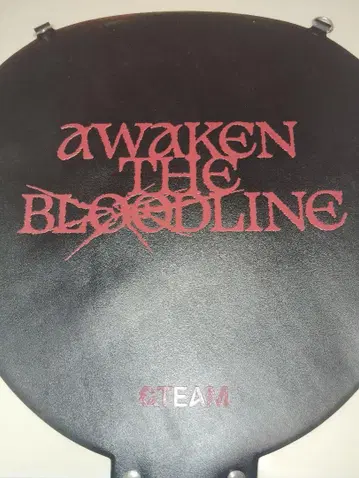 &TEAM 부채 케이스