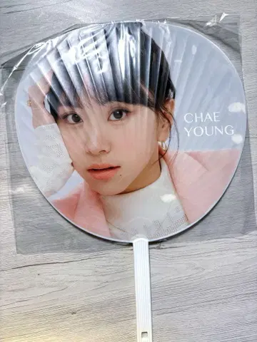TWICE 채영 부채