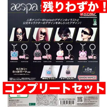 aespa  메지루시 액세서리 컴플리트 세트 전8종