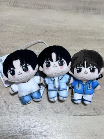 영재 한진 경민 세트