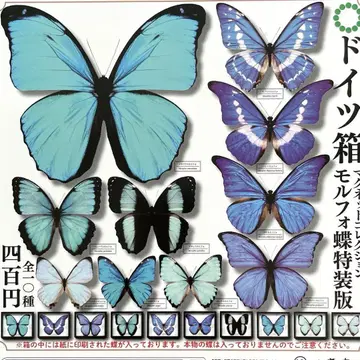 독일 상자 마그넷 컬렉션 모르포나비 특장판 전 10종 컴플리트