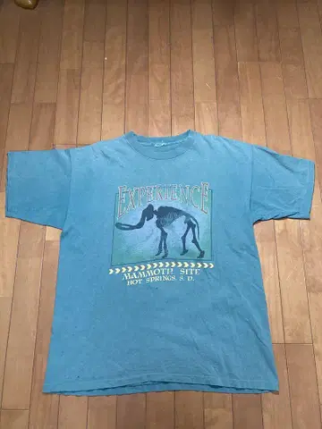 90년대 MAMMOTH JURASSIC 공룡 화석 매머드