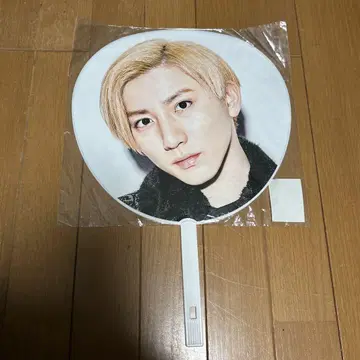 점보 부채 교모토 타이가