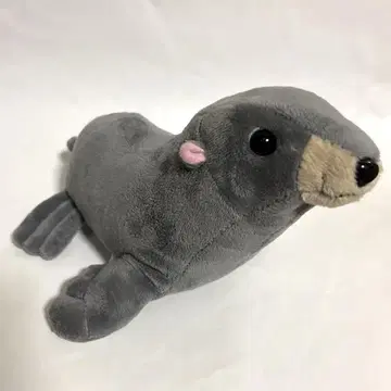 물개 봉제 인형