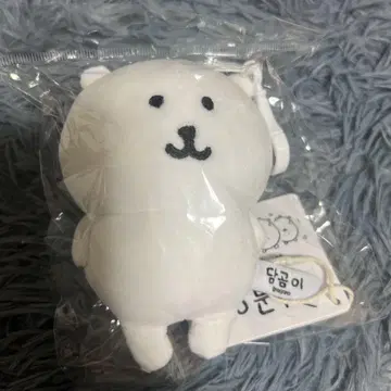 한국 한정 나가노의 곰 마스코트