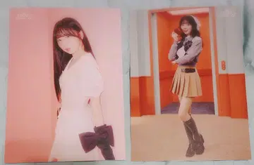 미이히 랜트레 niziu
