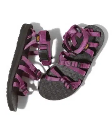 Teva ALP