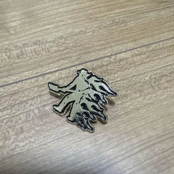PASS~PORT 핀 배지