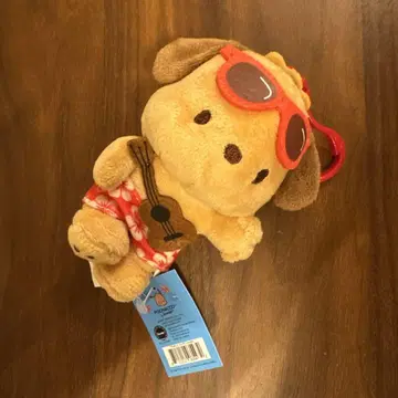 일광화상 포차코 하와이 한정판
