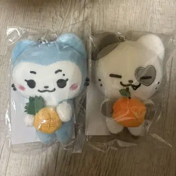 itzy 백참 예지 류진 popup