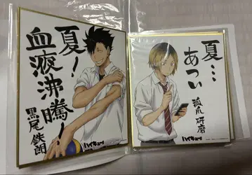 하이큐 색지 8매 세트 수납 파일 포함