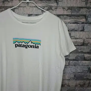 [새상품급!] patagonia 파타고니아 티셔츠 화이트 XL 사이즈