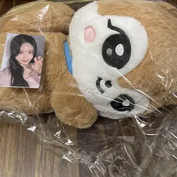 IVE MINIVE POP-UP 팝업 허그 백 가을 트레이딩 카드 포함