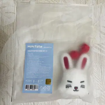 seventeen 미니틴 에스쿱스 체체리 키링 봉제 인형