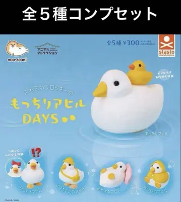 모찌모찌 오리 DAYS 전 5종 컴플리트 세트