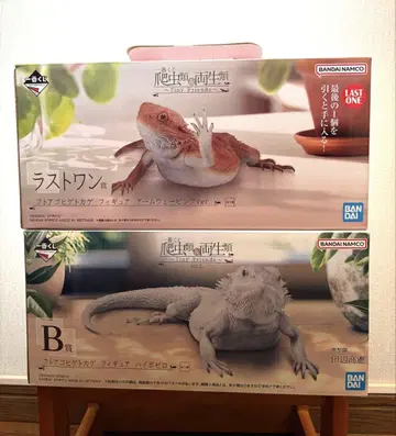 파충류&양서류 제일복권 라스트원상 프톨로고스 도마뱀 피규어 vo.2 B상