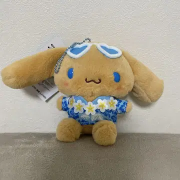 새상품 일광화상 시나몬 토코나츠 바케이션