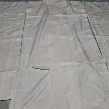 정견 가케시타