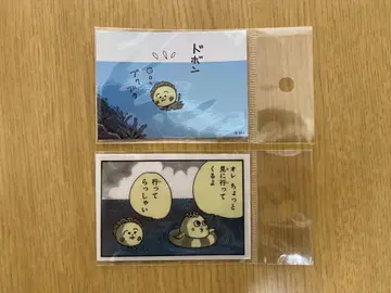 코지코지와 파르코의 여름방학 스티커 코지코지의 가게 코지코지 PARCO