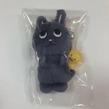 RIIZE 원빈 10cm 인형 키링 발렌타인 MD