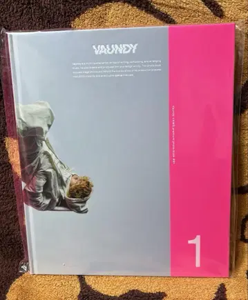 VAUNDY 포토북 바운디
