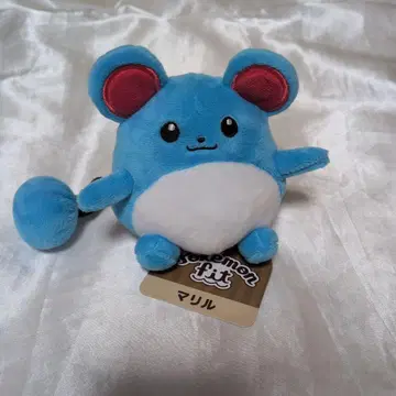 포켓몬 핏 마릴 봉제인형