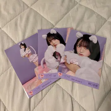 노구치 이오리 고양이 의상 세트