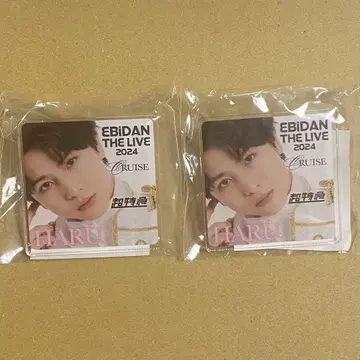 에비라이 2024 초특급 하루 아크릴 클립 2개 세트
