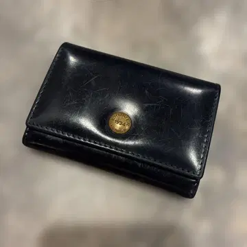 에띠거 코인 케이스