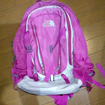THE NORTH FACE 핑크 백팩