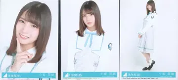히나타자카46 도레미솔라시도 코사카 나오 봉입 특전 브로마이드 컴프