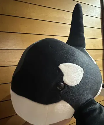 쫄깃쫄깃 아군